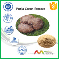 Top Quality 100% Natural Poria cocos(Schw.)Wolf Extract Poria Cocos Extract Powder